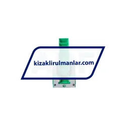 INA KWVE20-B-ESC-V1-G4 rulman resim 3