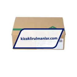 INA KWVE20-B-ESC-V1-G4 rulman resim 4