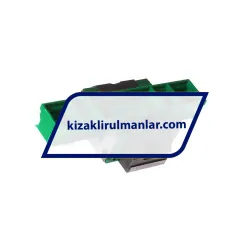 INA KWVE20-B-EC-V2-G2 rulman resim 2