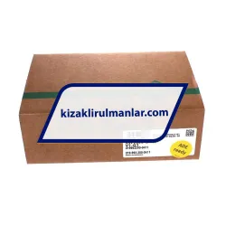 INA KWVE30-B-NL-V1-G1 rulman resim 4