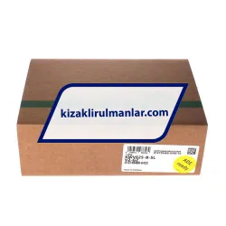 INA KWVE25-B-SL-V2-G2 rulman resim 4