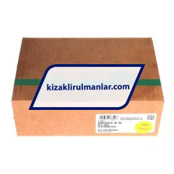 INA KWVE25-B-SL-V1-G4 rulman resim 4