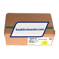 INA KWVE20-B-SL-V1-G4 rulman resim 4