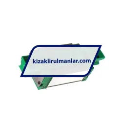 INA KWVE20-B-S-RROC-V1-G3 rulman resim 2