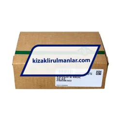 INA KWVE20-B-RROC-V2-G3 rulman resim 4