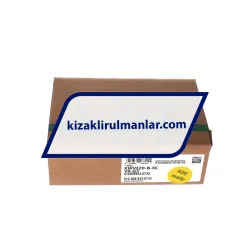 INA KWVE20-B-EC-V0-G3 rulman resim 4