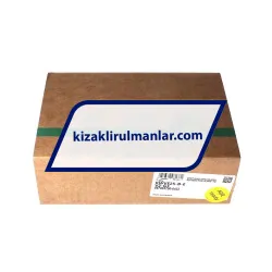 INA KWVE25-B-E-V2-G3 rulman resim 3