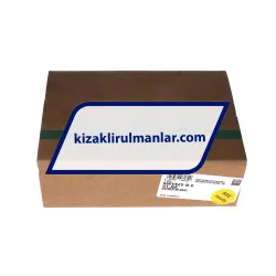 INA KWVE25-B-E-V1-G4 rulman resim 4
