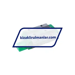 INA KWVE25-B-L-UG-V2-G3 rulman resim 2