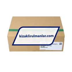 INA KWVE25-B-L-UG-V2-G3 rulman resim 4