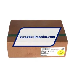 INA KWVE25-B-ES-UG-V1-G2 rulman resim 4