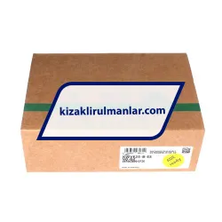 INA KWVE25-B-ES-V0-G2 rulman resim 4