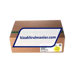 INA KWSE30-V2-G3 rulman resim 4