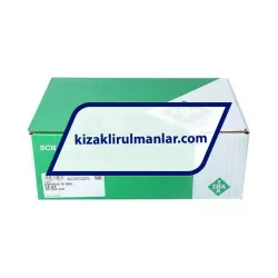 INA KWVE45-B-SNL-V2-G3 rulman resim 4