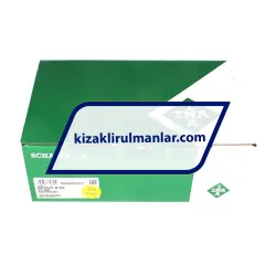 INA KWVE45-B-SN-V1-G2 rulman resim 4