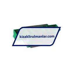 INA KWVE30-B-H-V1-G1 rulman resim 2