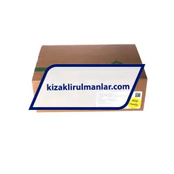 INA KWVE30-B-H-V1-G1 rulman resim 4