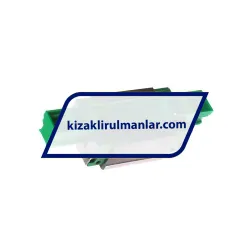 INA KWVE15-B-H-V0-G1 rulman resim 2