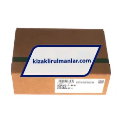 INA KWVE15-B-H-V0-G1 rulman resim 4