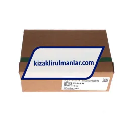 INA KWVE15-B-ESC-V2-G3 rulman resim 4
