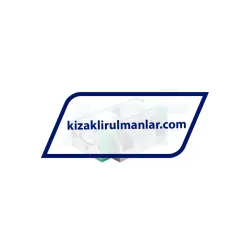 INA RWU25-E-V1-G2 rulman resim 2