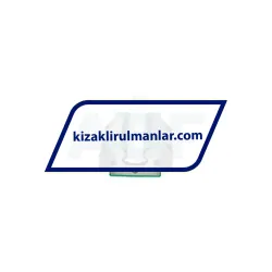 INA RWU25-E-V1-G2 rulman resim 3