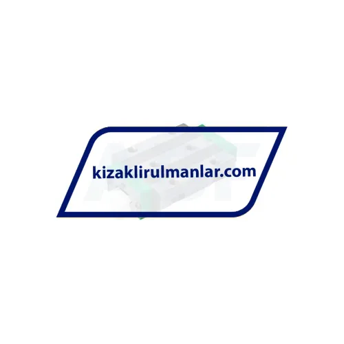 INA RWU25-E-L-V1-G3