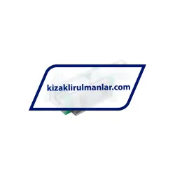 INA RWU25-E-L-V1-G3 rulman resim 2