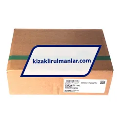 INA KWVE25-WL-V0-G3 rulman resim 4