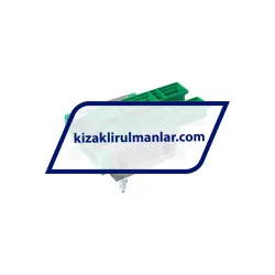 INA KWVE35-WL-UG-V0-G3 rulman resim 2