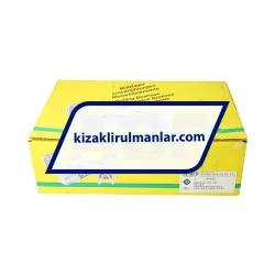 INA KWVE35-WL-UG-V0-G3 rulman resim 4
