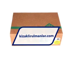 INA KWVE25-B-SL-UG-RROC-V2-G3 rulman resim 4