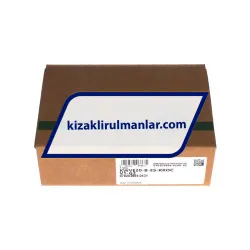 INA KWVE20-B-ES-RROC-V1-G3 rulman resim 4