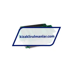 INA KWVE35-B-S-V2-G1 rulman resim 2