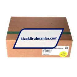 INA KWVE25-B-V1-G3 rulman resim 4