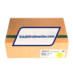 INA KWVE25-B-SNL-V0-G2 rulman resim 4