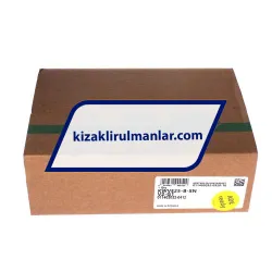 INA KWVE25-B-SN-V2-G1 rulman resim 4