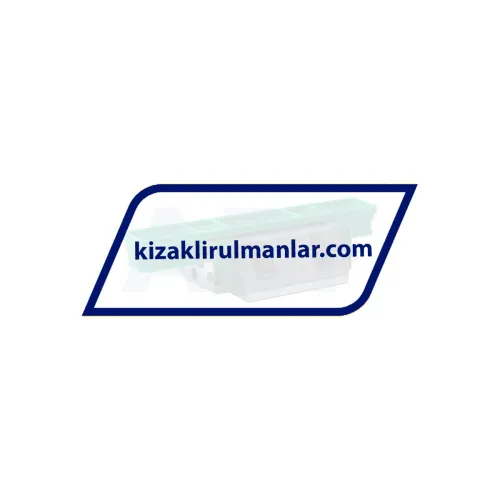 INA KWVE25-B-E-V0-G4 ürün fotoğrafı 2