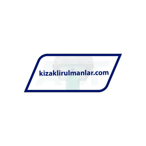INA KWVE25-B-E-V0-G4 ürün fotoğrafı 3