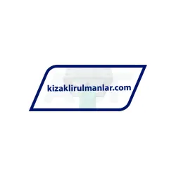 INA KWVE25-B-E-V0-G4 rulman resim 3