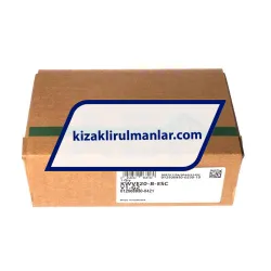 INA KWVE20-B-ESC-V1-G2 rulman resim 4