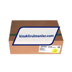 INA KWSE30-V1-G1 rulman resim 4