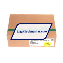INA KWSE25-H-V1-G2 rulman resim 4