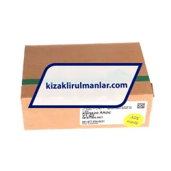 INA KWSE20-RROC-V1-G3 rulman resim 4