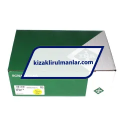 INA RWU45-E-V2-G0 rulman resim 4