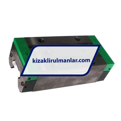 INA RWU55-E-HL-V4-G1