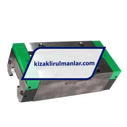INA RWU55-E-HL-V4-G1 rulman resim 2