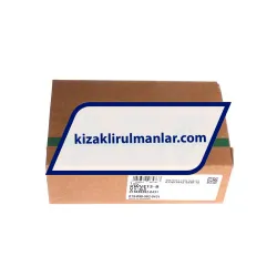 INA KWVE15-B-V1-G3 rulman resim 4