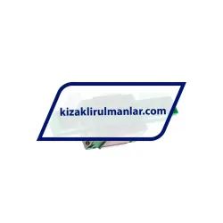 INA KWVE15-B-ESC-V2-G1 rulman resim 2