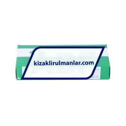 INA KWEM12-WC-V0-G2A rulman resim 2